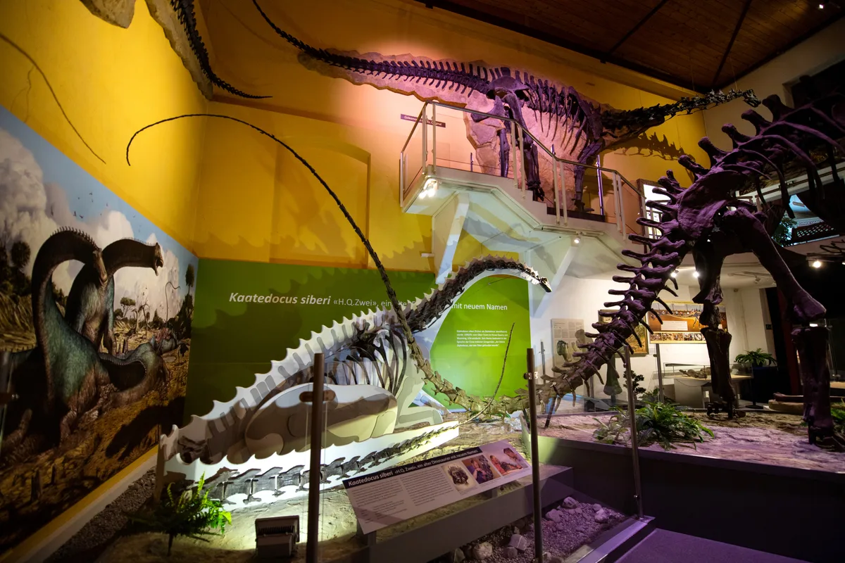 Hans-Jakob Siber vom Sauriermuseum Aathal verschenkt einige Dinosaurier Skelette an die Uni Zürich.
8.6.2020